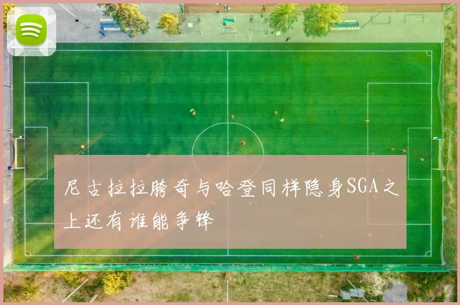 尼古拉拉胯奇与哈登同样隐身SGA之上还有谁能争锋