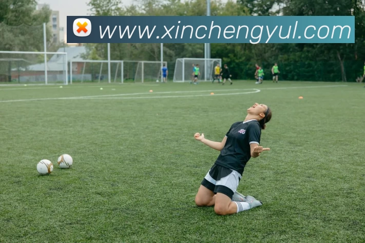 新城娱乐全站App